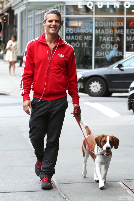 Andy Cohen walking in the street with his Beagle