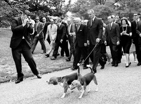 An old black and white photo of Lyndon Baines Johnson walking with his two Beagles on a leash and with crowd behind them