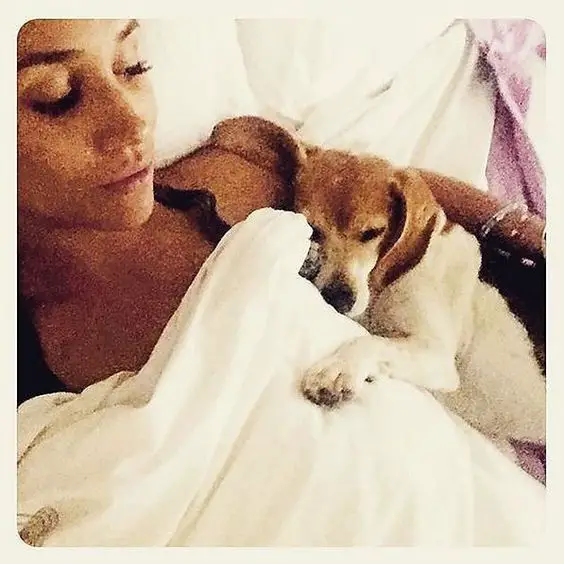 Meghan Markle lying in bed with her Beagle