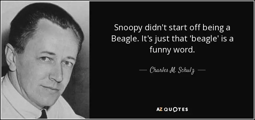 Photo of a man named Charles M. Schulz and his quote - Snoopy didn't start off being a Beagle. It's just that Beagle is a funny word.
