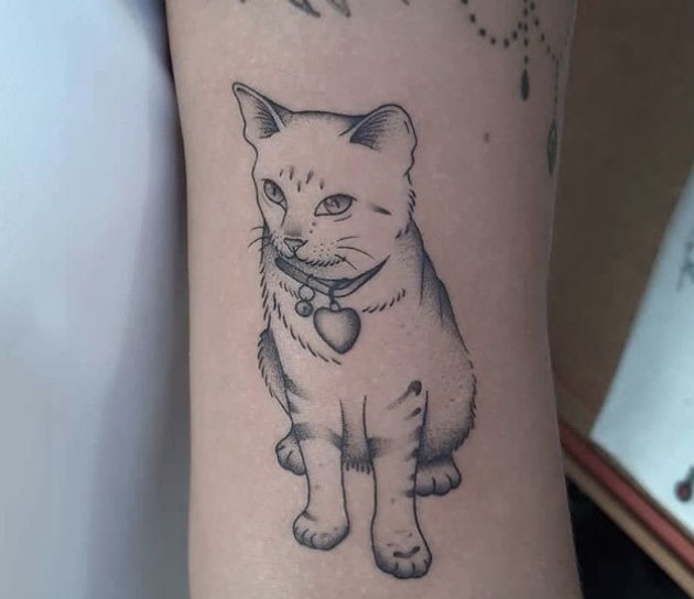 Outline of a sitting cat tattoo on the arm