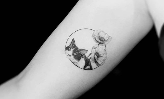 minimalist lying down cat inside a circle with a flower tattoo on the biceps
