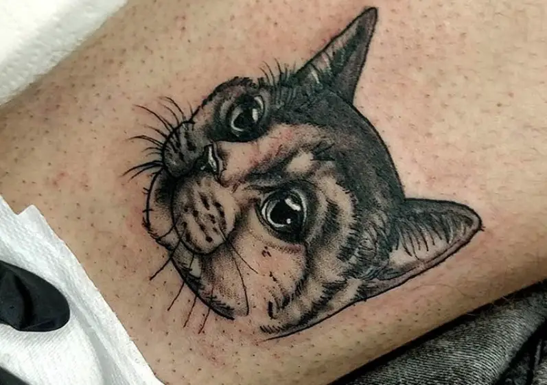 realistic face of a black and white cat tattoo