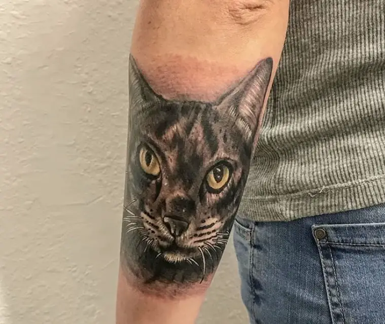 realistic face of a black and white cat tattoo on the arm