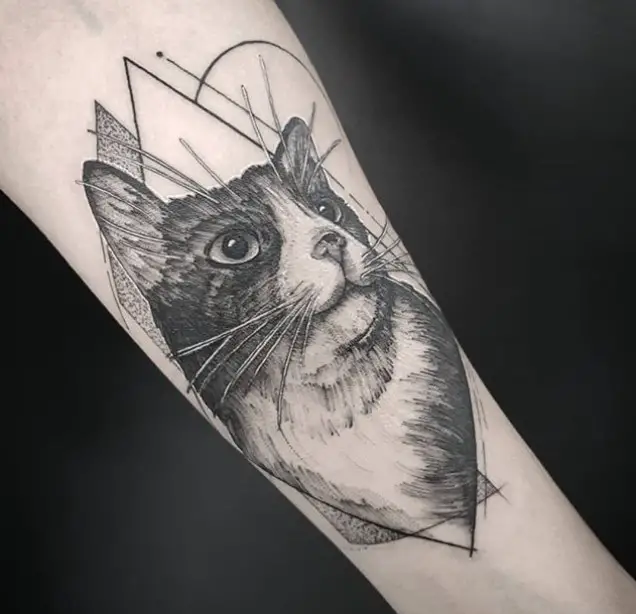 A black and gray cat tattoo on the forearm