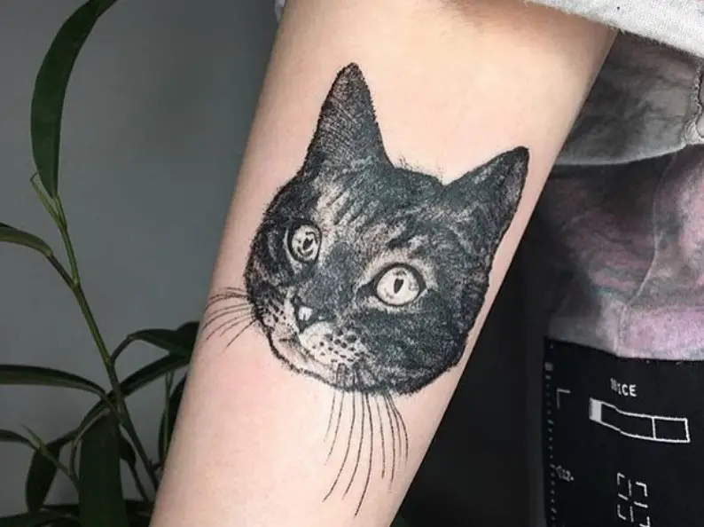 realistic face of a Black and White Cat tattoo on the forearm