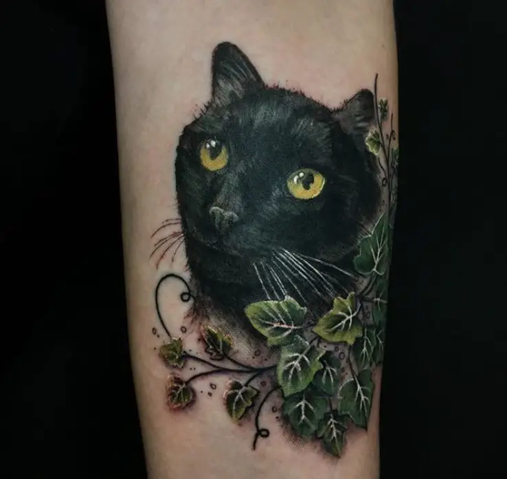 black cat with ivy leaves tattoo on arms
