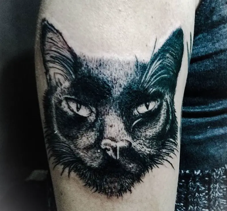 black cat with serious expression tattoo on arms
