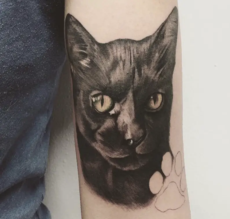 face of black cat and outline tattoo on arms