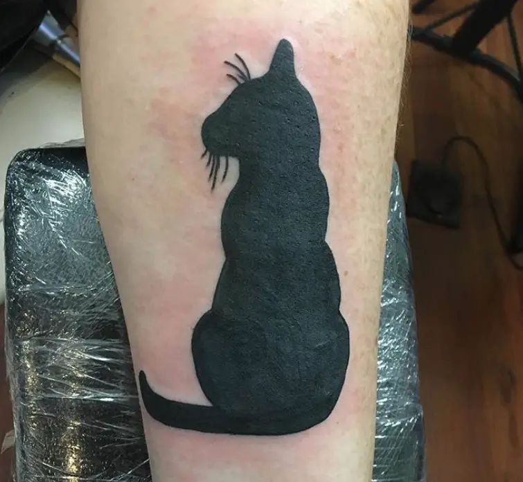 back of a sitting black cat
