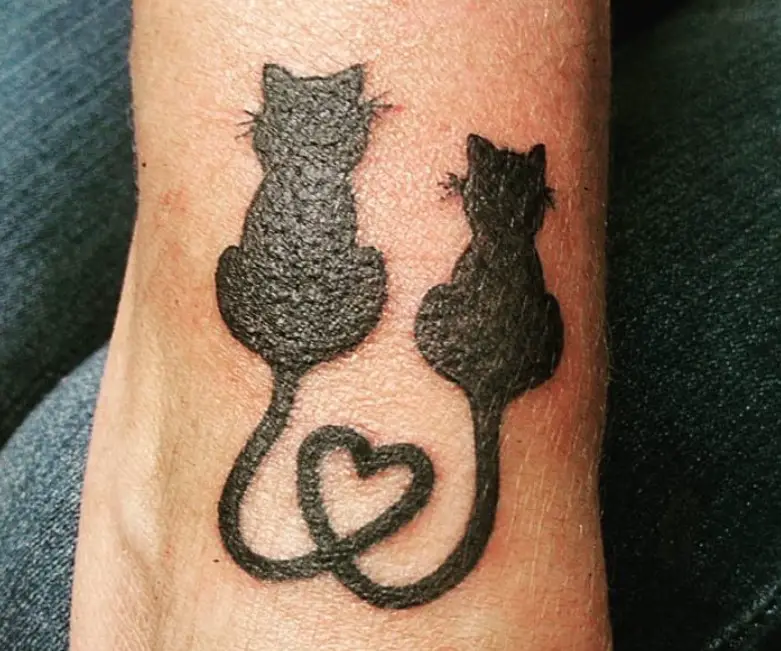 two black cats sitting with their tails forming heart tattoo on arms