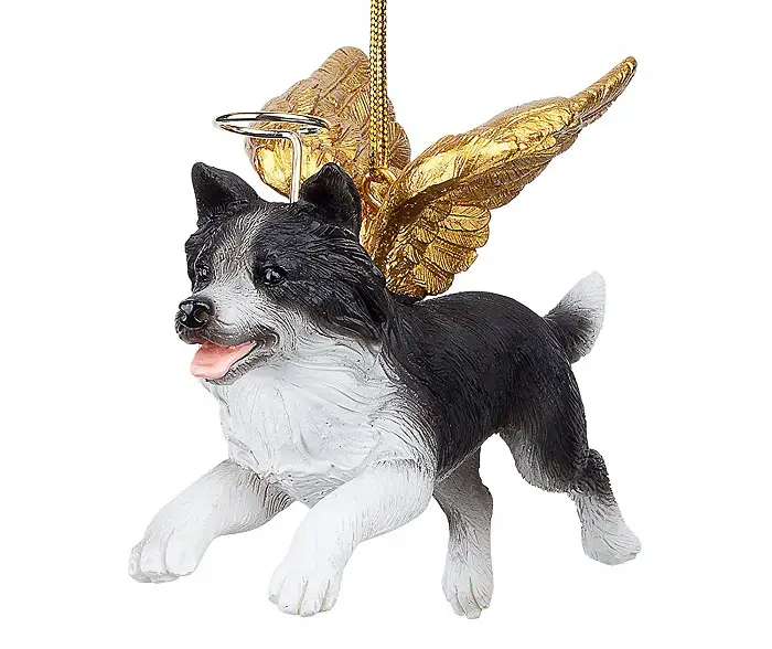 A Border Collie with angel wings christmas tree ornament
