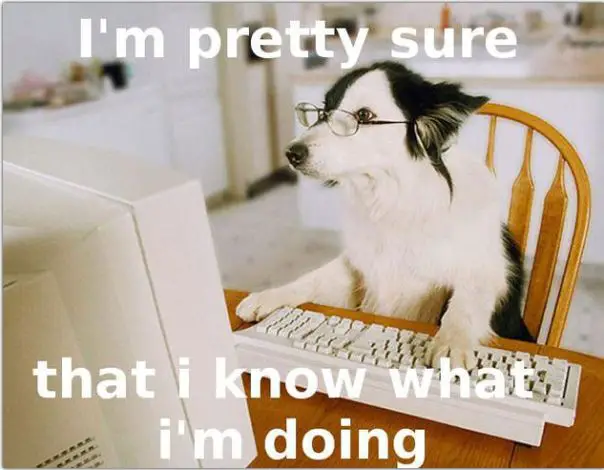 Border Collie sitting on the chair staring at the monitor and wearing glasses while its paws are on the keyboard photo with text - I'm pretty sure that I know what I'm doing