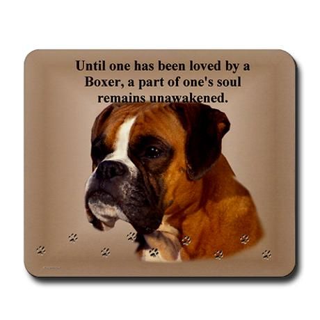 A Boxer Dog portrait with quote - Until one has been loved by a boxer, a part of one's soul remains unawakened.