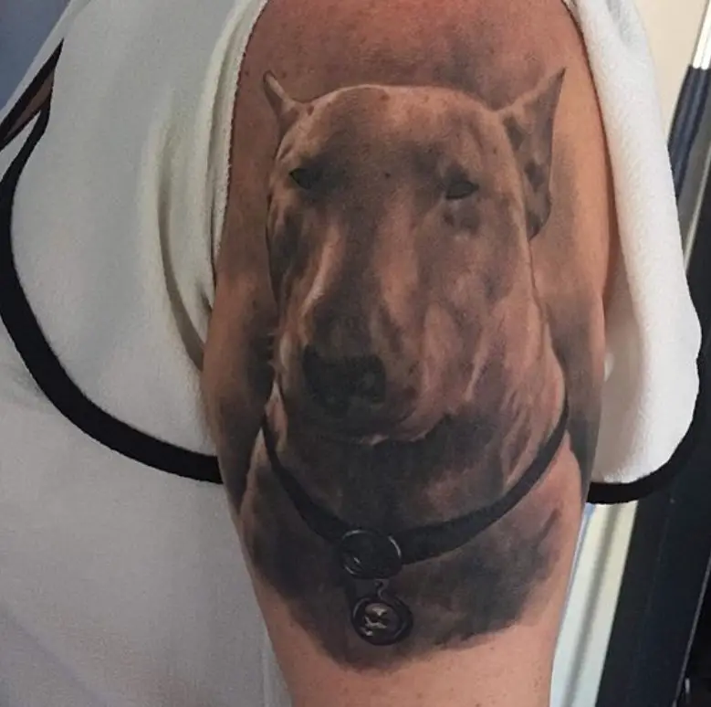 black and gray realistic Bull Terrier tattoo on the shoulder