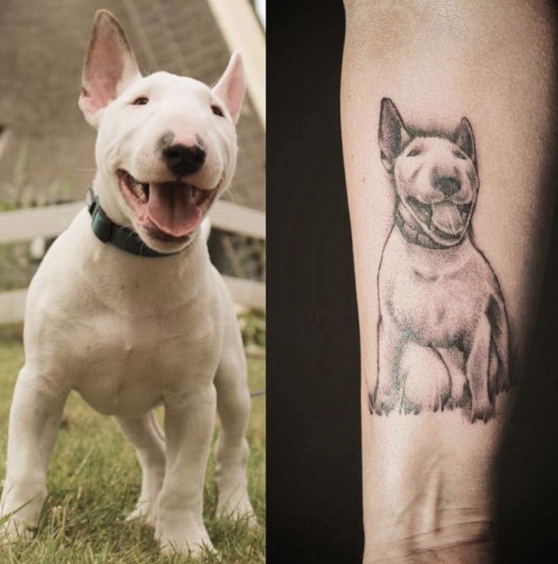 gray and black happy Bull Terrier sitting on the grass tattoo on the forearm photo next to the photo inspiration