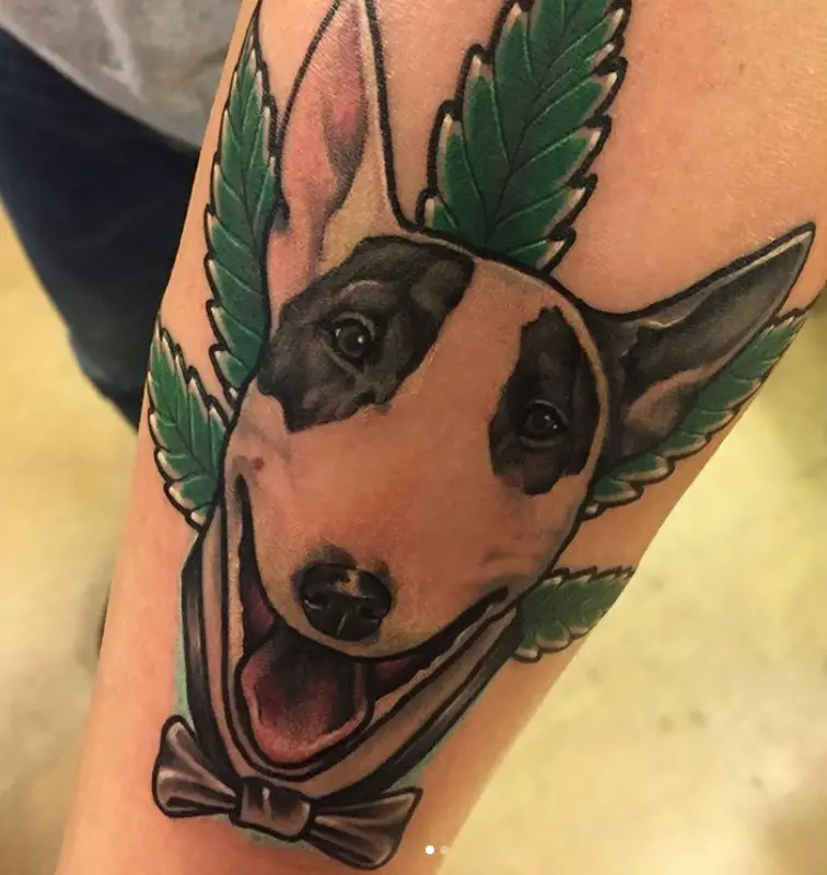 smiling face of a Bull Terrier with leaves behind him tattoo on the forearm