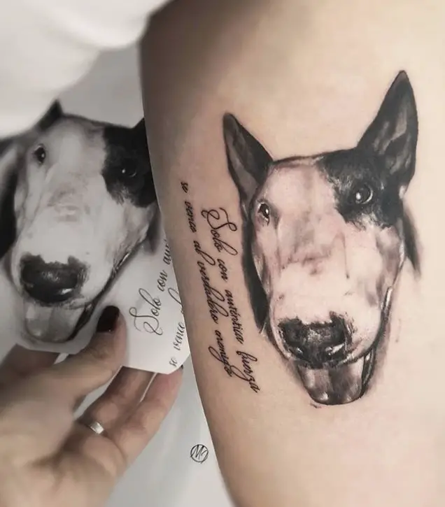 hand of woman holding a photo of a Bull Terrier behind the leg with a realistic 3D tattoo of its face in the photo.
