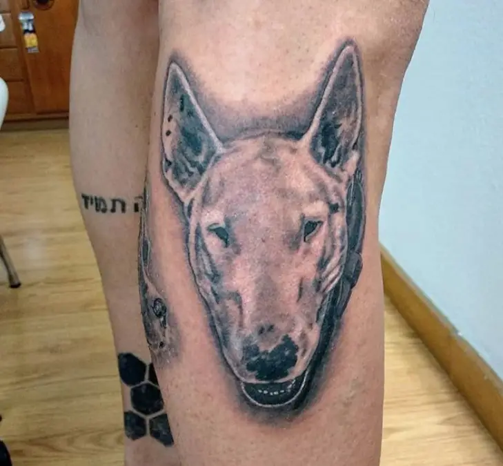3D face of a Bull Terrier tattoo on the leg.