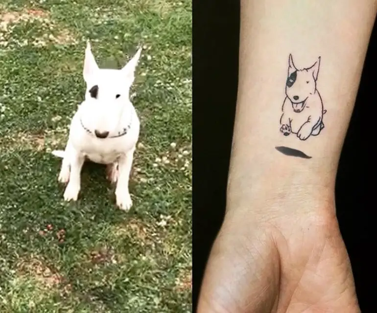 collage photo of a Bull Terrier sitting on the green grass beside a photo of a running Bull Terrier outline tattoo on the forearm