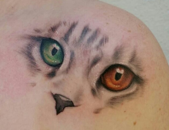 green and orange Cat's Eye tattoo on the shoulder back