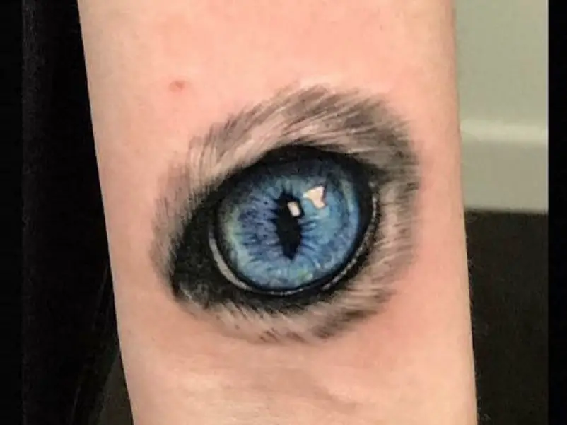 blue Cat's Eye tattoo on arms