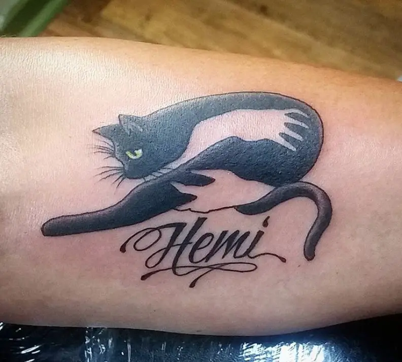 lying cat with its name tattoo on arms