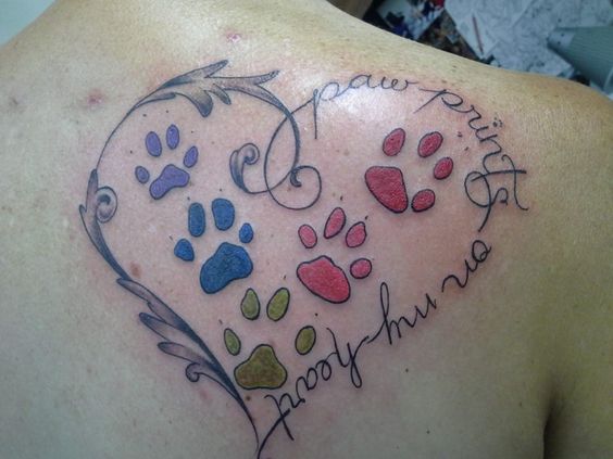 colorful paw prints inside a heart with a quote 
