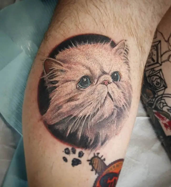 face of white cat tattoo on arms