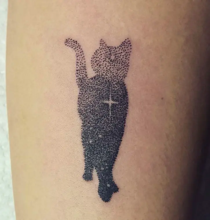 star cat tattoo