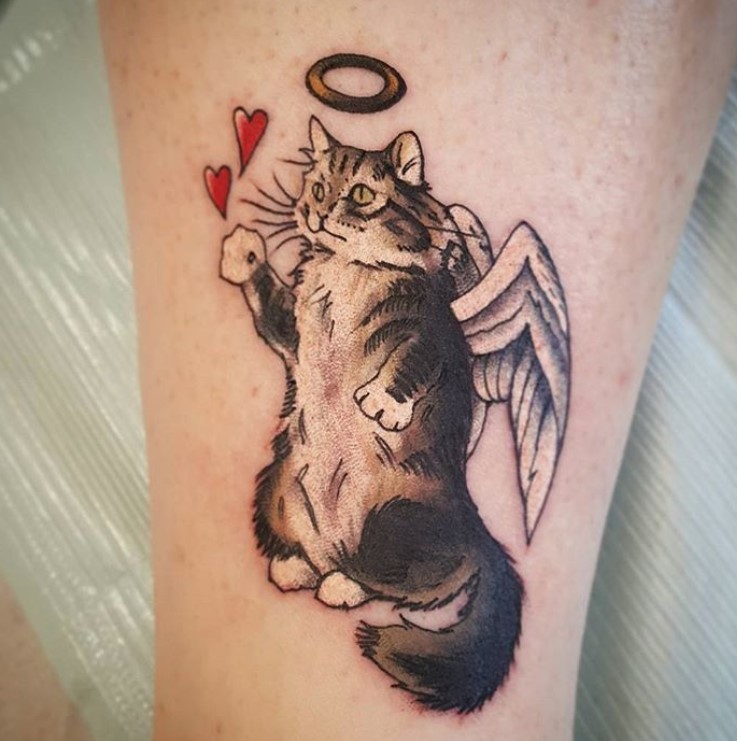 cat with angel wings and halo tattoo on arms