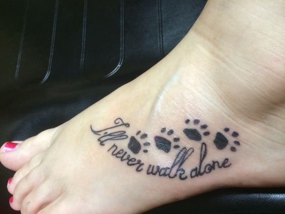 three paws with quote 
