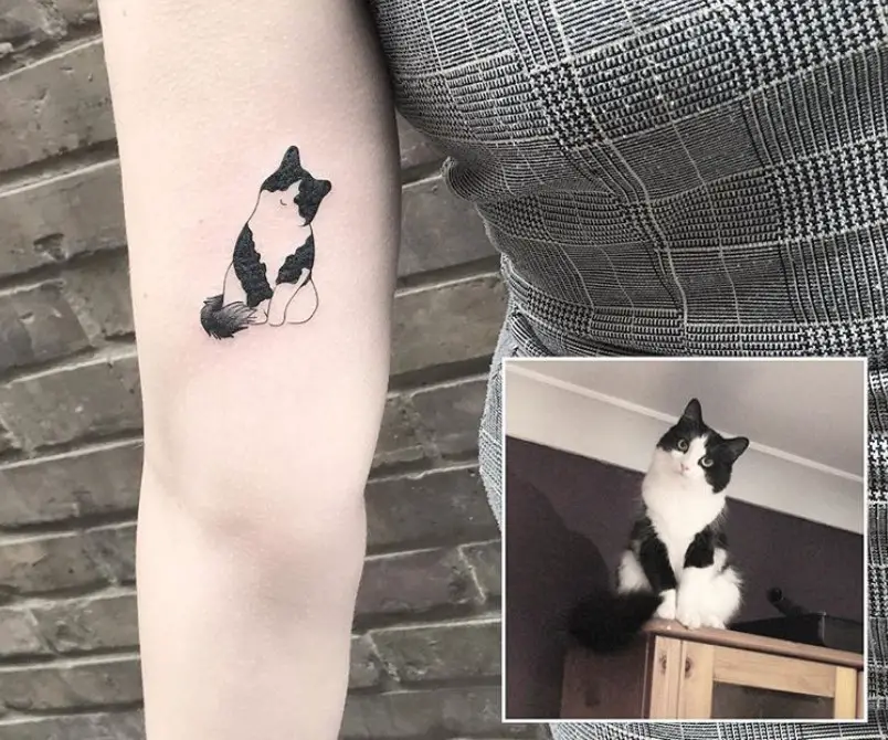 a sitting black and white cat tattoo on the girl's forearm photo with an inserted photo of her cat on the bottom right side