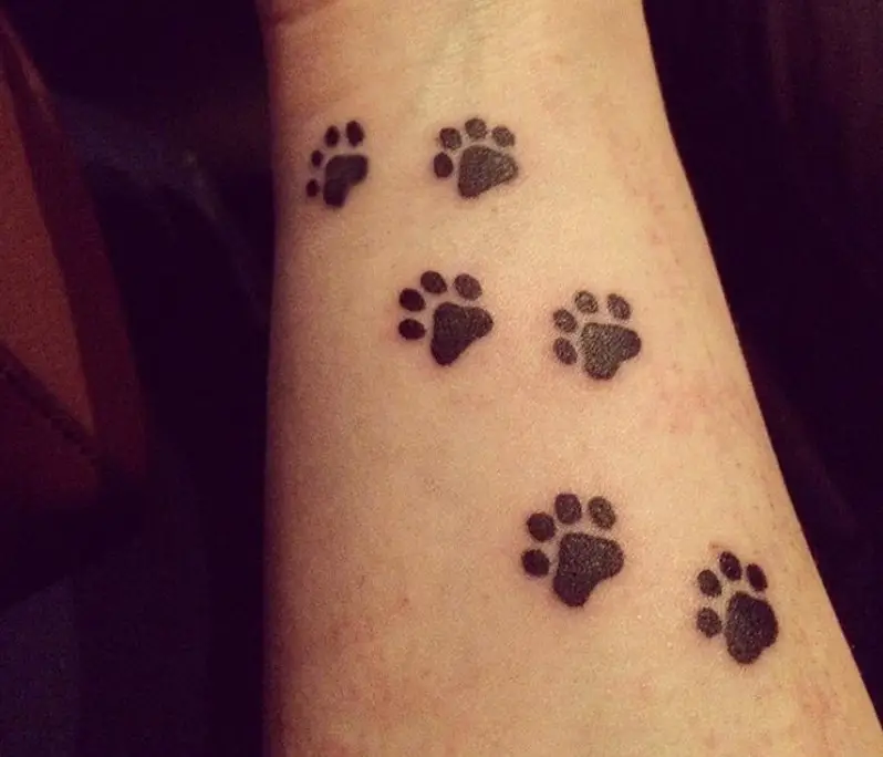 six small Cat Paw Prints tattoo on the forearm