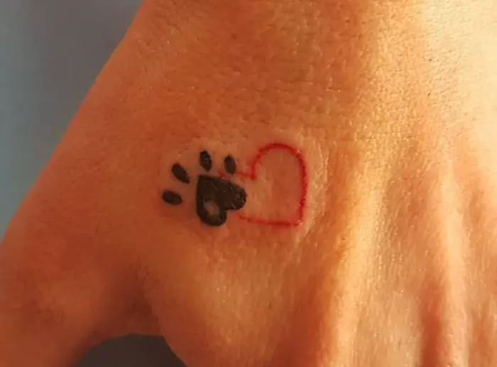 Cat Paw Print with a red heart tattoo on hand