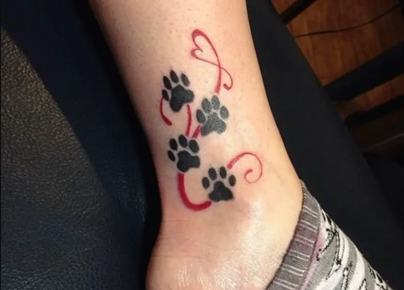 30 Best Cat Paw Print Tattoo Designs Page 2 The Paws