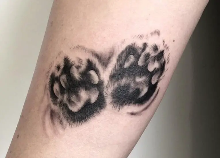 3D Cat Paw Print tattoo on the forearm