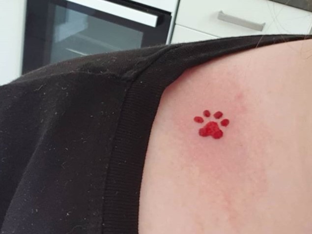 red Cat Paw Print tattoo on the collar
