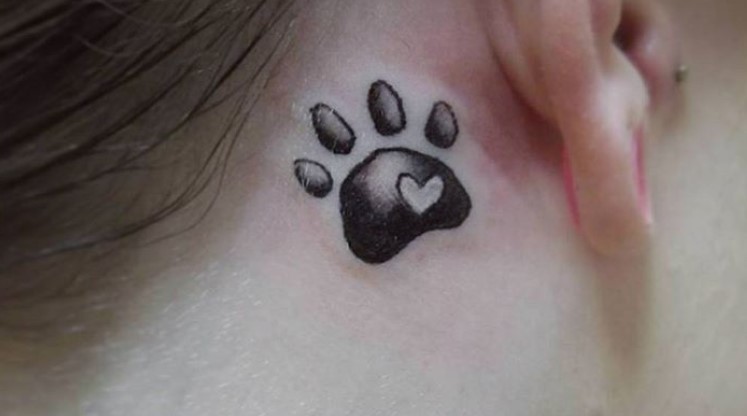 Cat Paw Print with heart tattoo on the back of the ear