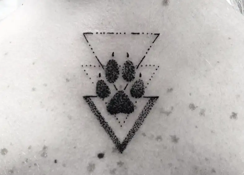 Cat Paw Print in an upside down triangle tattoo