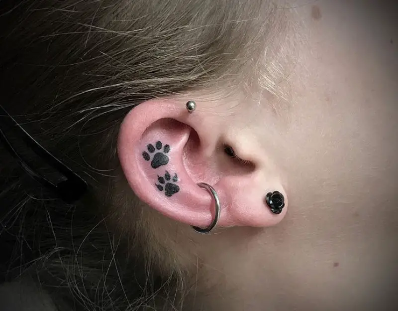 two Cat Paw Prints tattoo on ear