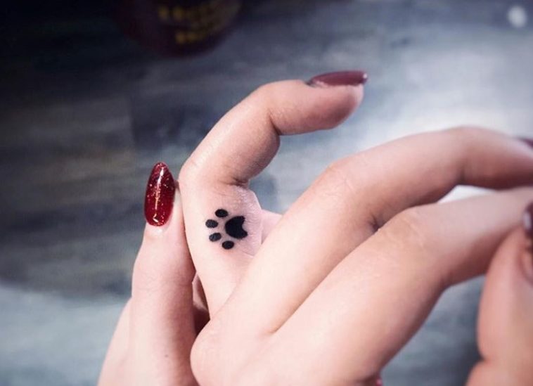 4. Cat Paw Tattoo Meaning - wide 5