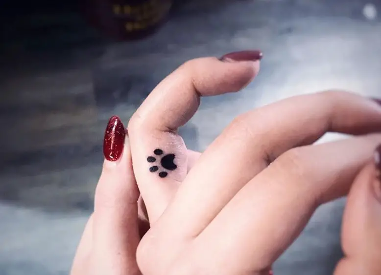small Cat Paw Print tattoo on the ring finger