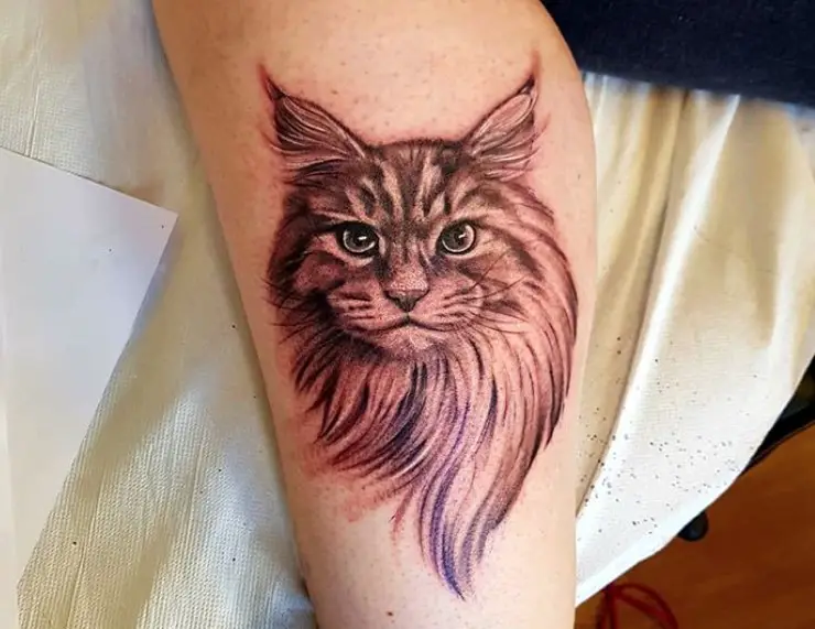 A fresh Cat Portrait Tattoo on the leg