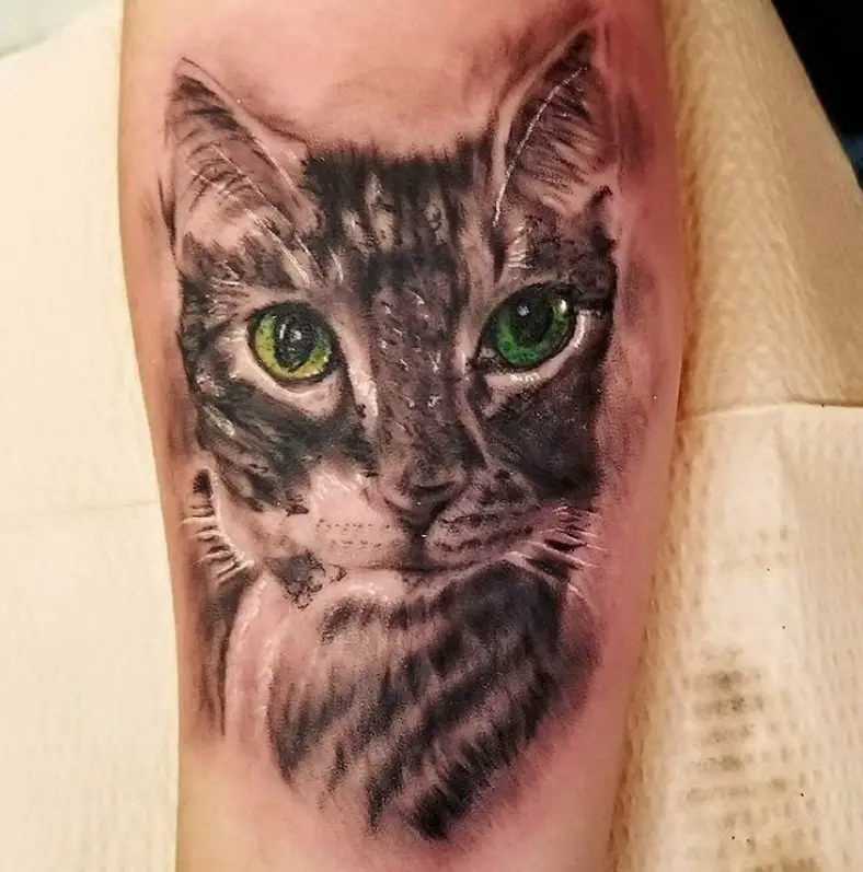 A realistic Cat Portrait Tattoo on the arm