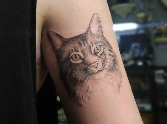A realistic face of a Cat Portrait Tattoo on the biceps