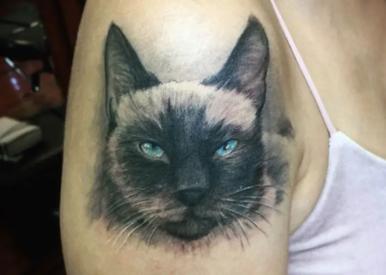A 3D realistic back and white Cat Portrait Tattoo on the shoulder
