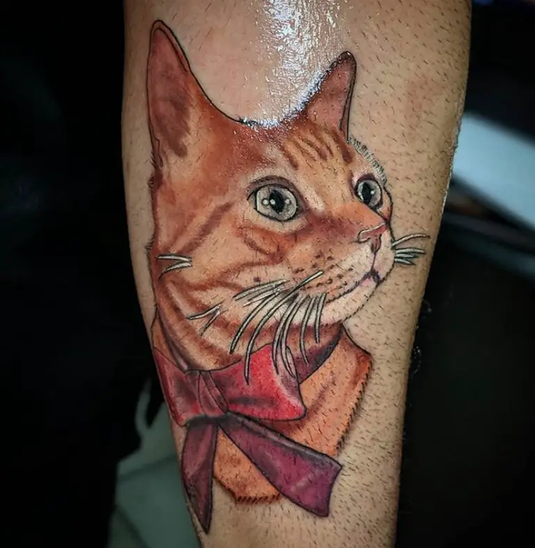 An orange realistic Cat Portrait Tattoo on the leg