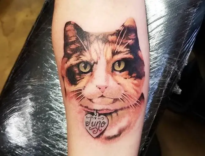 realistic face of an orange and black Cat Portrait Tattoo on the forearm