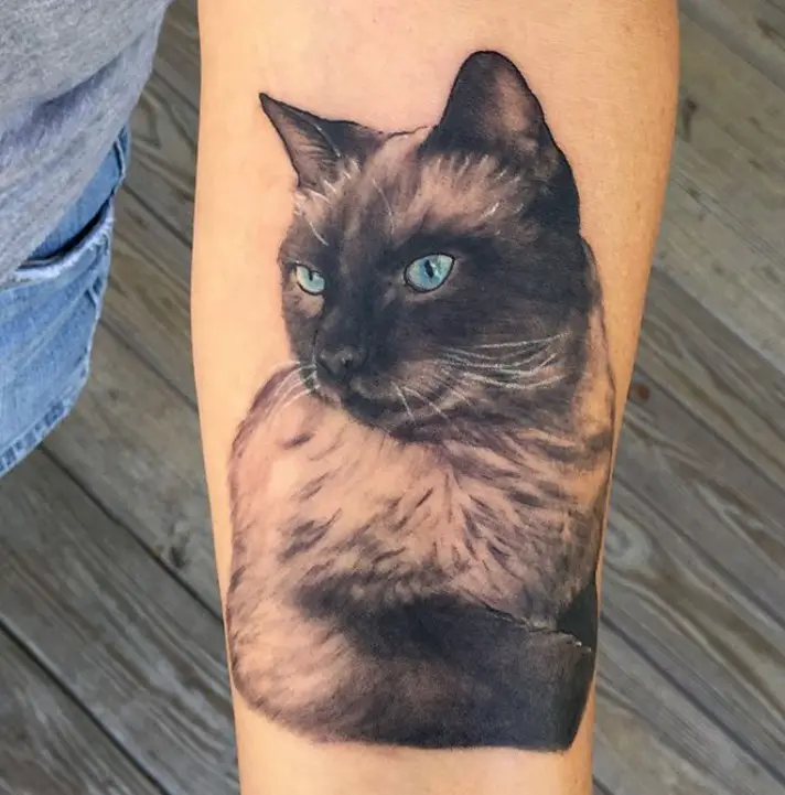 A black and gray Cat Portrait Tattoo on the forearm
